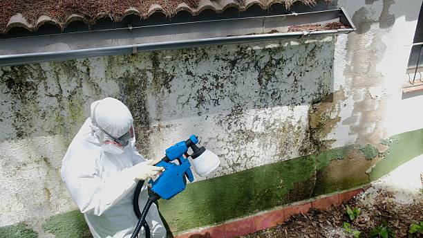 Top rated local Mold Remediation specialists in Evanston, IL